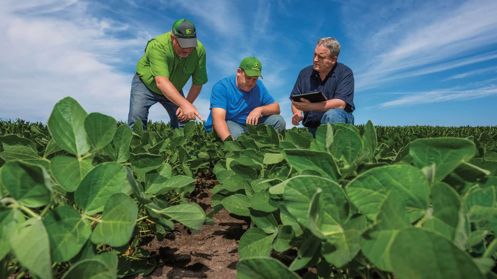 FIELD WATER MANAGEMENT