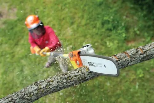 Pole Pruners